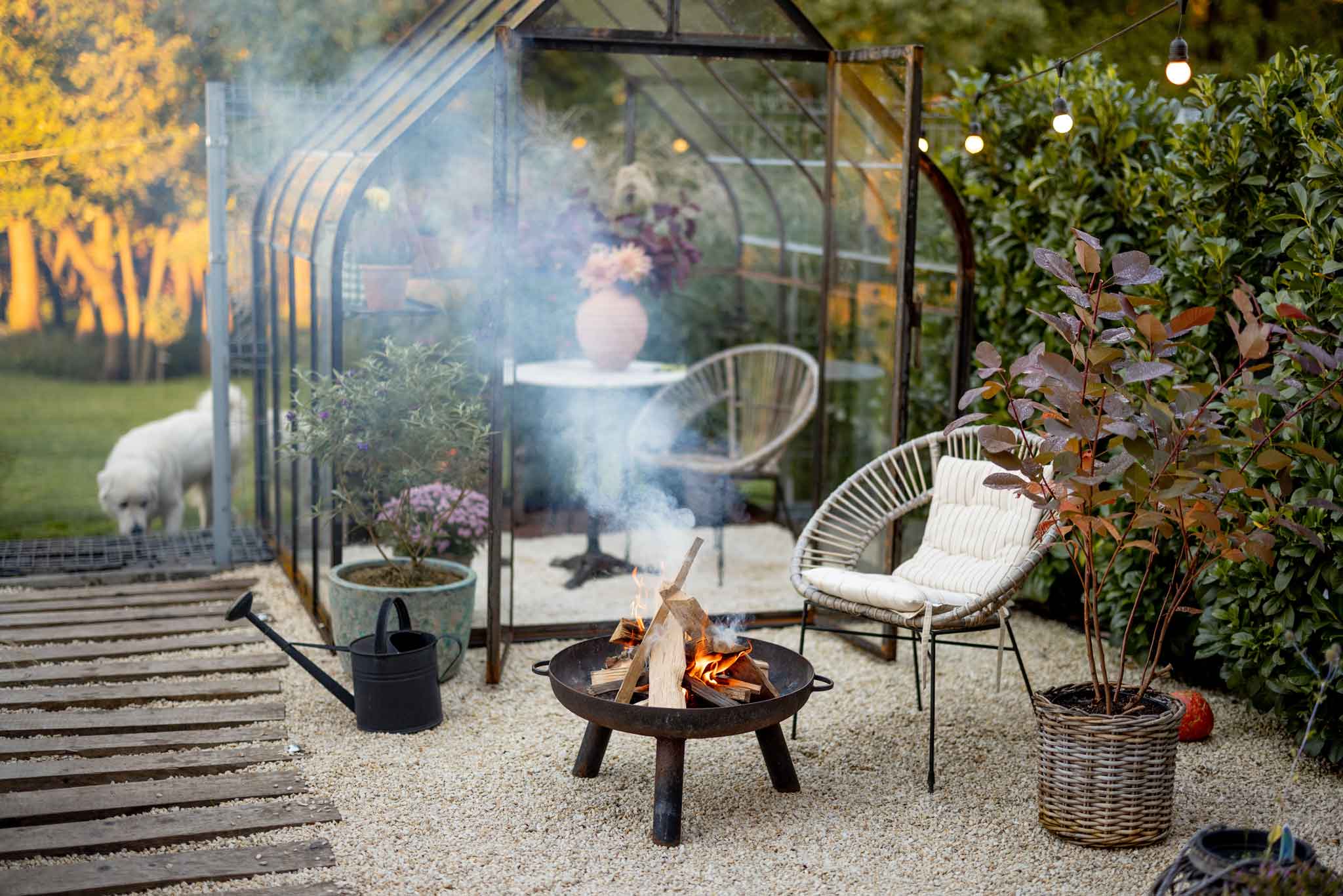 The Surprising Secret to a Longer Life? It Might Be Your Own Home